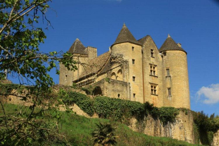 Petite Maison En Pierre Au Coeur Du Perigord Noir Proche De Sarlat Et Rocamadour Salignac Eyvigues Exteriör bild