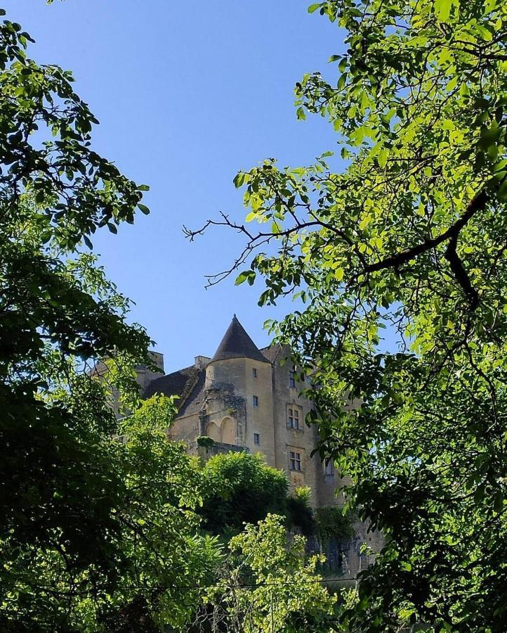 Petite Maison En Pierre Au Coeur Du Perigord Noir Proche De Sarlat Et Rocamadour Salignac Eyvigues Exteriör bild