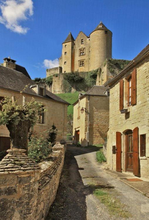 Petite Maison En Pierre Au Coeur Du Perigord Noir Proche De Sarlat Et Rocamadour Salignac Eyvigues Exteriör bild
