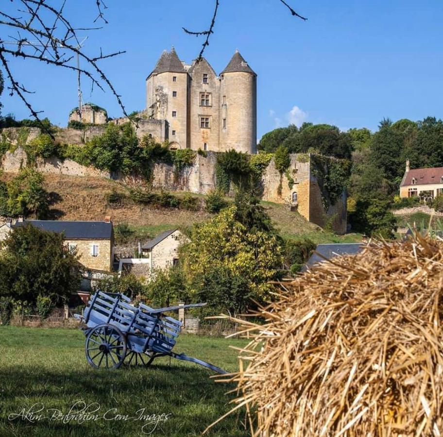 Petite Maison En Pierre Au Coeur Du Perigord Noir Proche De Sarlat Et Rocamadour Salignac Eyvigues Exteriör bild