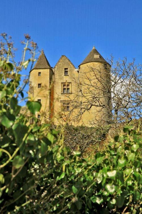 Petite Maison En Pierre Au Coeur Du Perigord Noir Proche De Sarlat Et Rocamadour Salignac Eyvigues Exteriör bild
